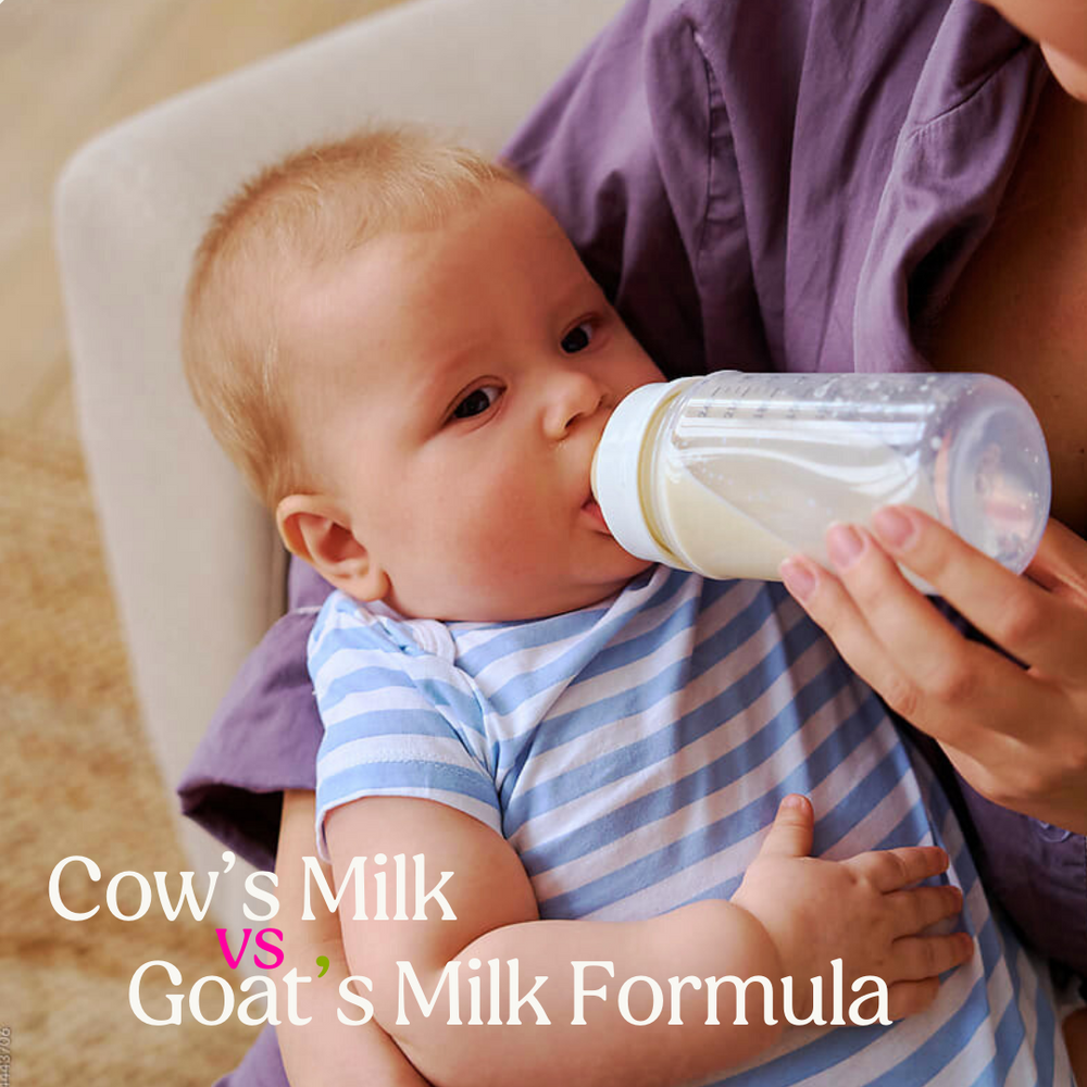 Cow’s Milk vs Goat’s Milk Formula – Which One Do Babies Enjoy More?